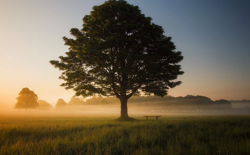 探討ERP及商業軟件在巴基斯坦的角色