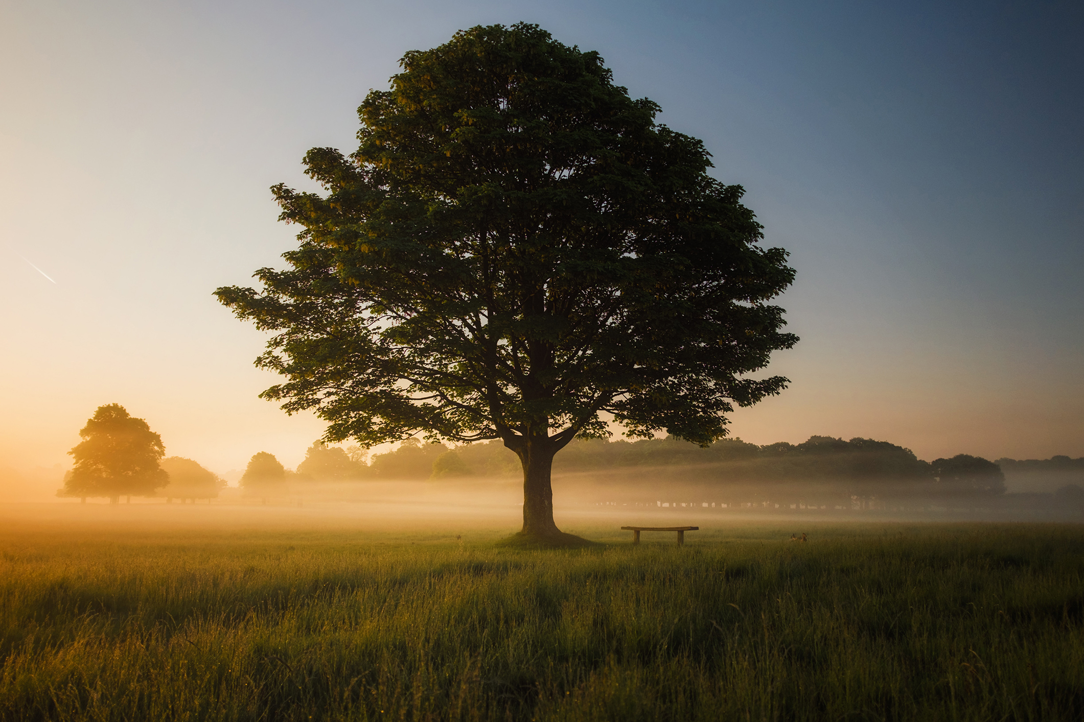 Photo by Simon Wilkes on Unsplash Photo by Simon Wilkes on Unsplash
