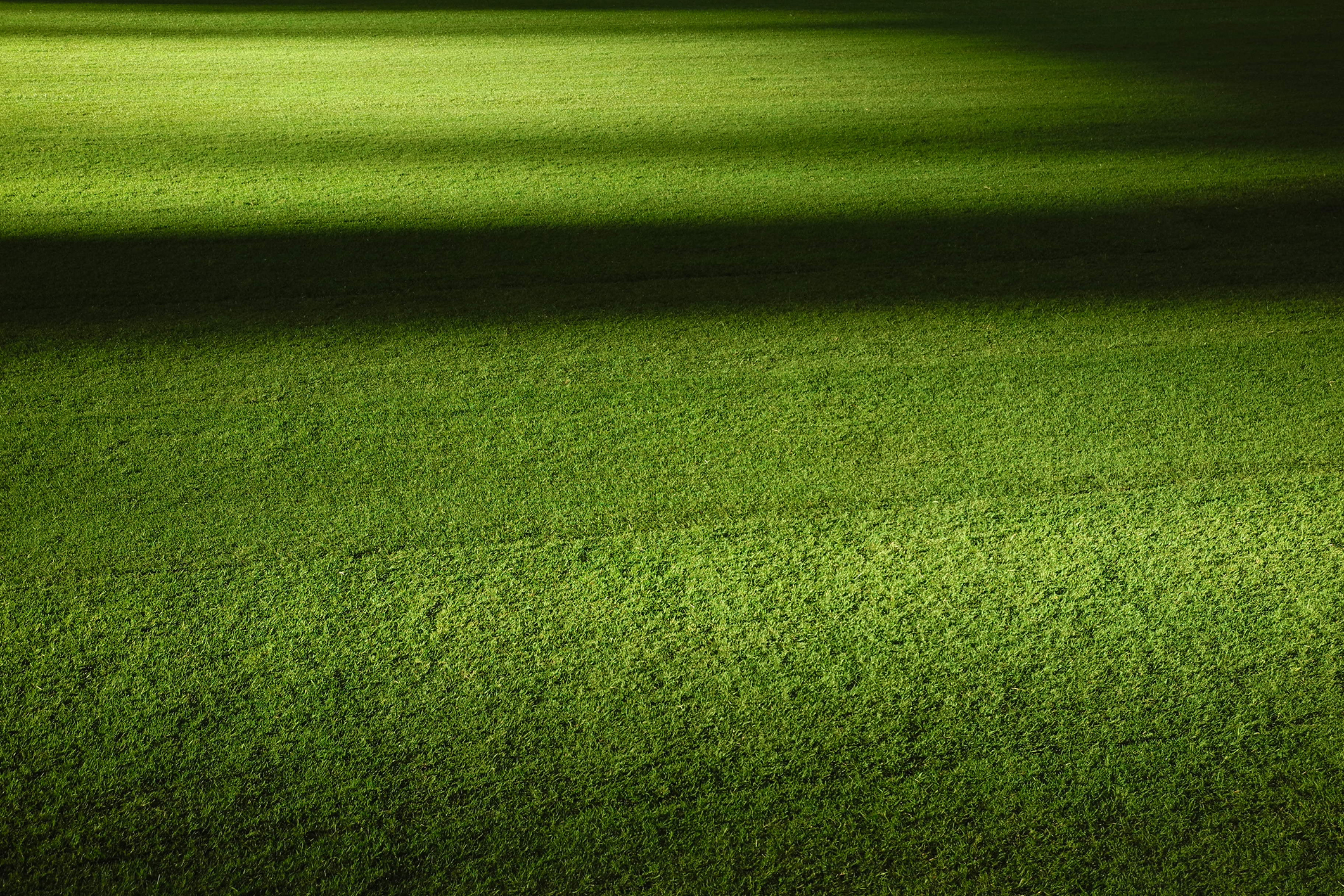 Photo by Adrian Curiel on Unsplash