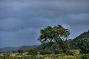 Photo by Tengyart on Unsplash