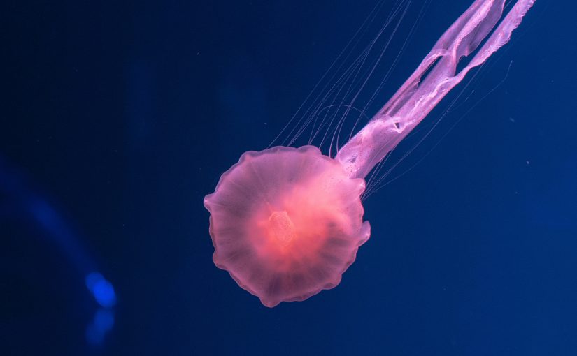 革新生物科技產業的AI與CRM系統