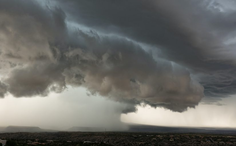 解讀超級颱風蝴蝶的威力與HCM在人力資源管理中的角色