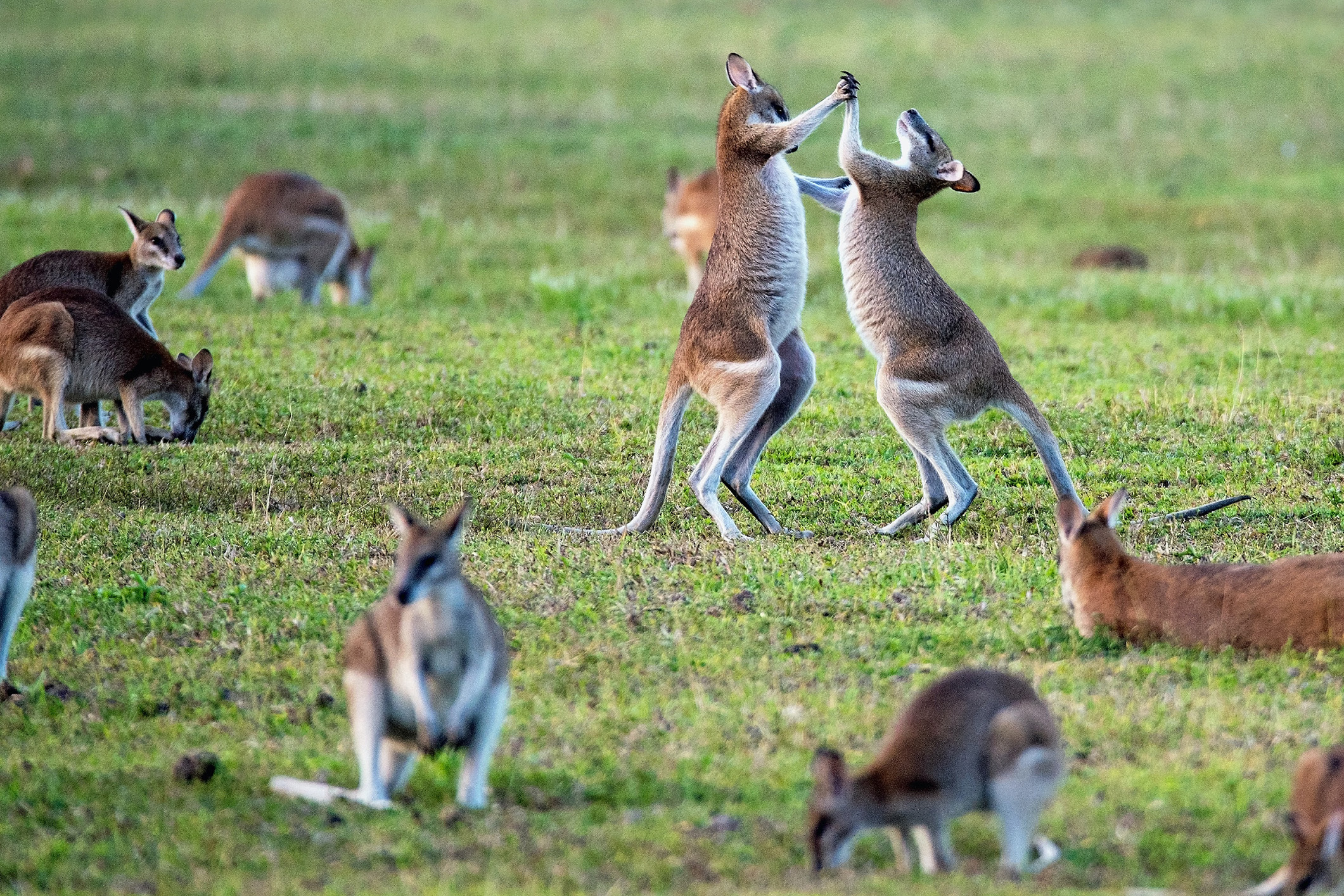 Photo by David Clode on Unsplash