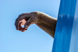 Photo by michael schaffler on Unsplash
