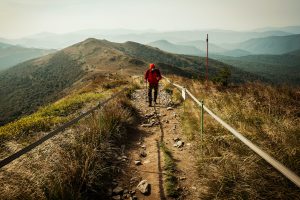 Photo by Sylwia Bartyzel on Unsplash