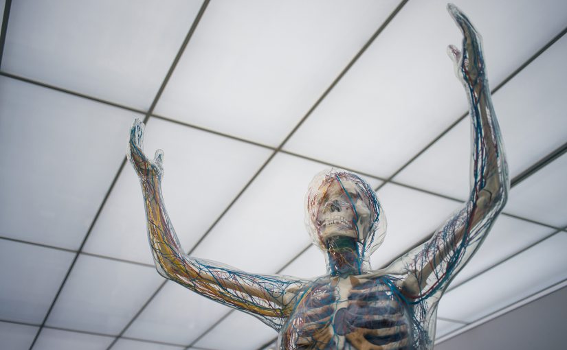 拆解現代ERP系統的模組