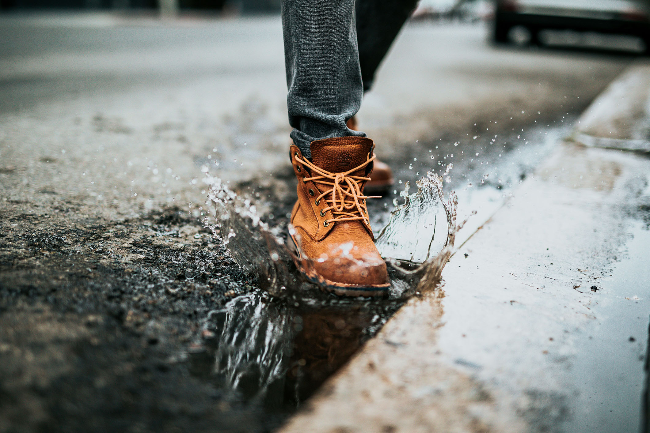 Photo by Nathan Dumlao on Unsplash Photo by Nathan Dumlao on Unsplash