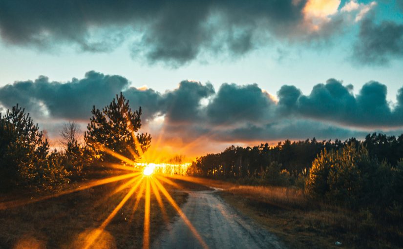 了解 ERP：深入探索商業軟件解決方案