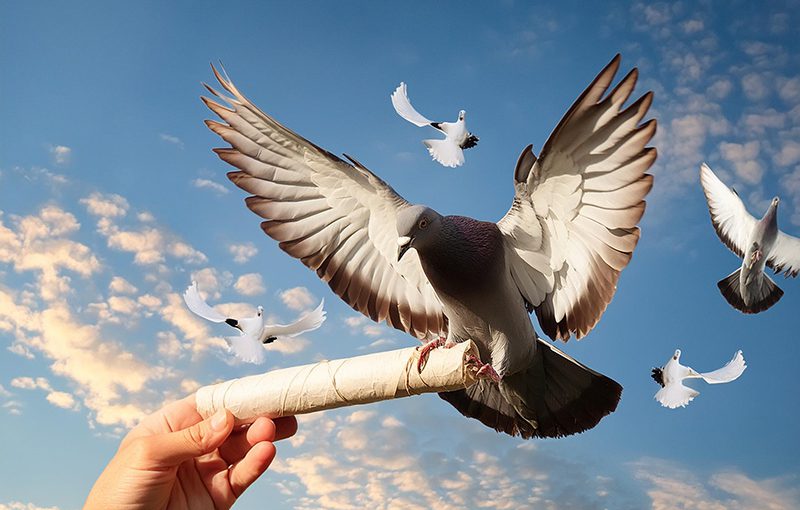 新加坡郵政透過 ERP 系統實現驚人轉變