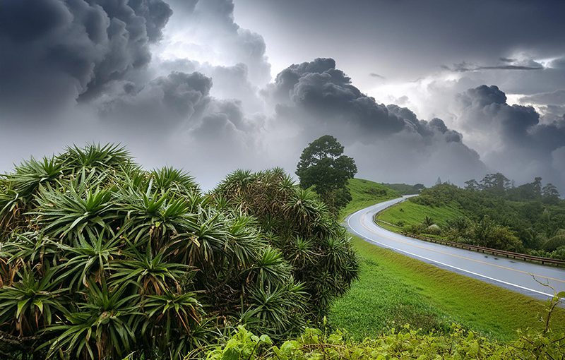利用人力資本管理實現新加坡的最佳績效