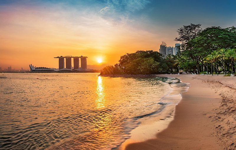 Exploring the Impact of ERP and Bali Volcano on Business Software in Hong Kong