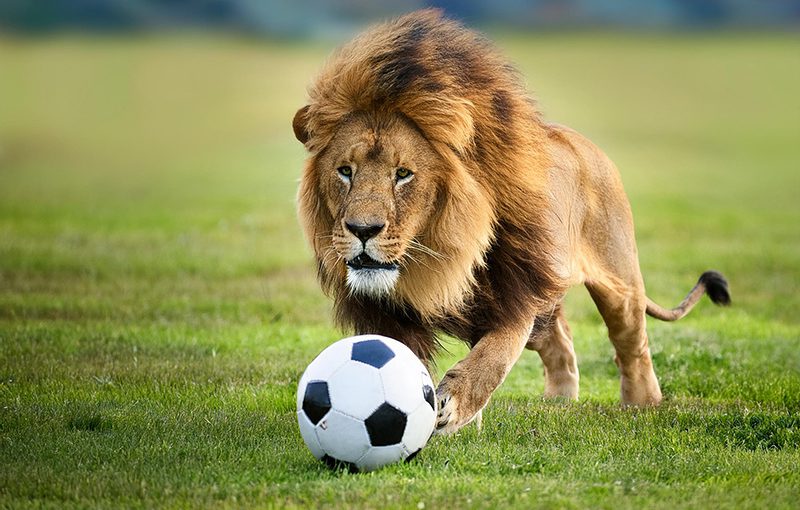 快速消費品產業 ERP 的未來：來龍去脈