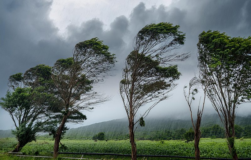 氣候與休閒產業中的人工智慧和客戶關係管理系統的影響：澳大利亞與印尼