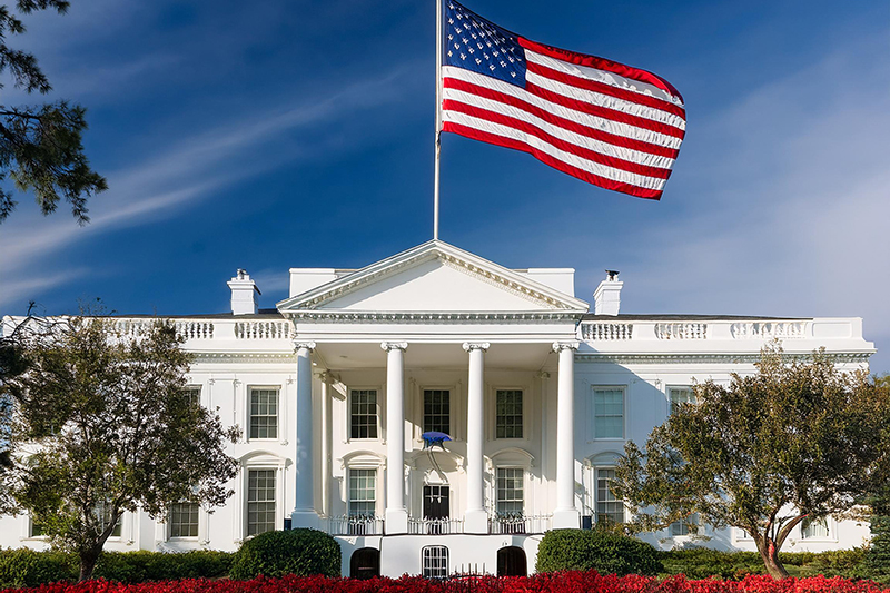 Kamala Harris and the Rise of Business Software: A Dive into CRM ...