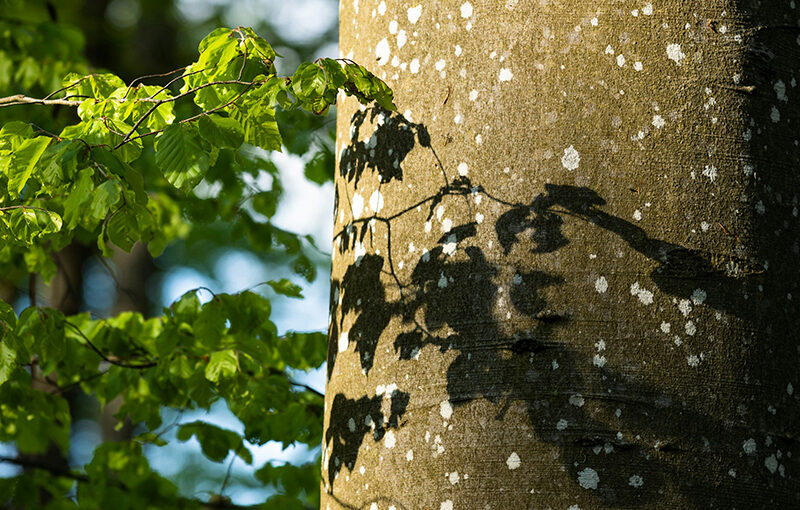 How AI and ERP Revolutionize Hong Kong’s Cosmetics Industry Dynamics